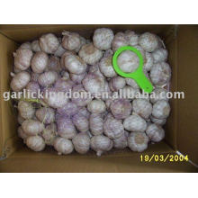 china fresh normal white garlic,garlic price